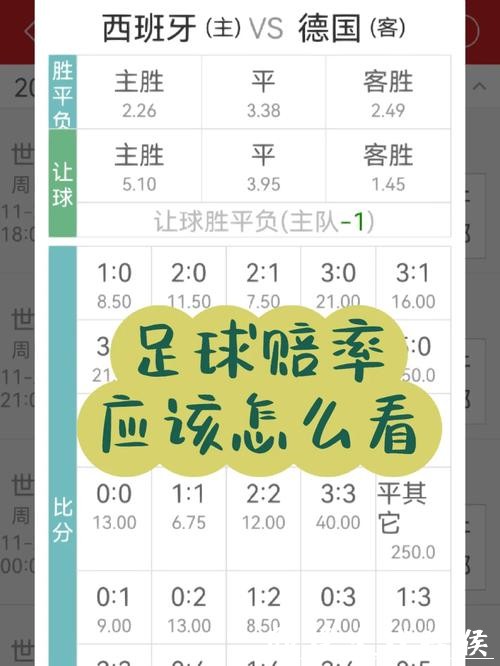 世界杯投注小赔率与高赔率的选择 世界杯投注小赔率与高赔率的选择